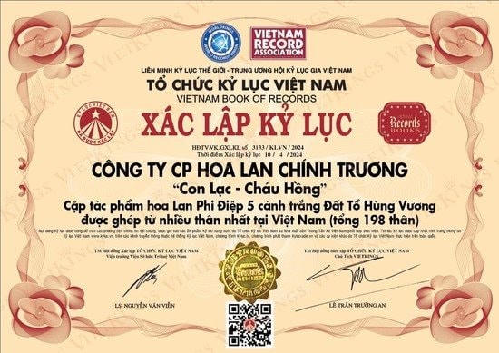 hoa-lan.jpg