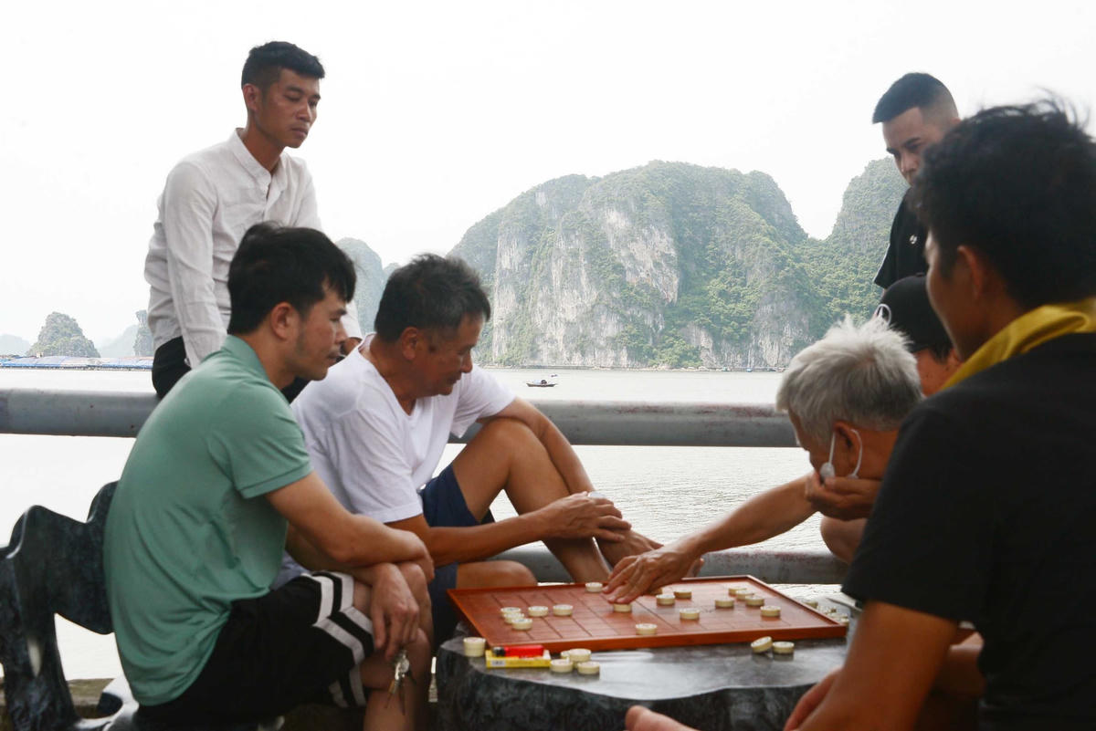 Các "kỳ thủ" vẫn say sưa với những ván cờ bên bờ biển.