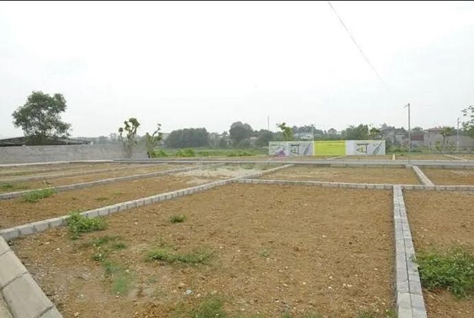 UBND TP Hà Nội yêu cầu siết chặt quản lý hoạt động đấu giá quyền sử dụng đất. Ảnh minh họa: TTXVN