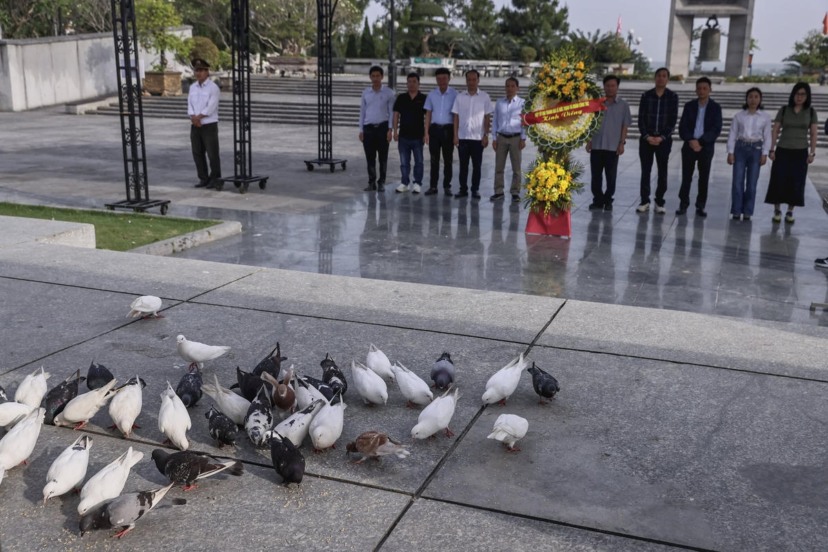 Đàn chim bồ câu hoà bình ở Nghĩa trang Liệt sĩ Quốc gia Đường 9. Ảnh Quang Vinh. 