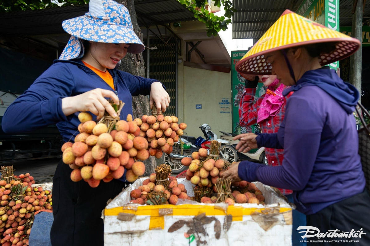 ban_vai-le-khanh17.jpg