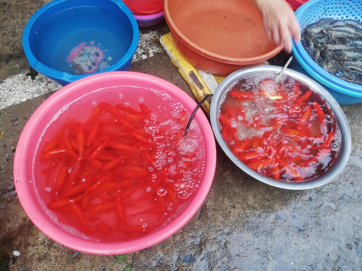 Đi chợ sớm chuẩn bị lễ ông Công ông Táo ngày 23 tháng Chạp