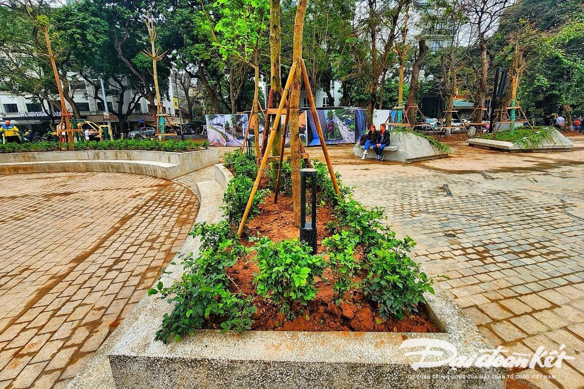 W_vuon_hoa_hang_dau-le-khanh2.jpg