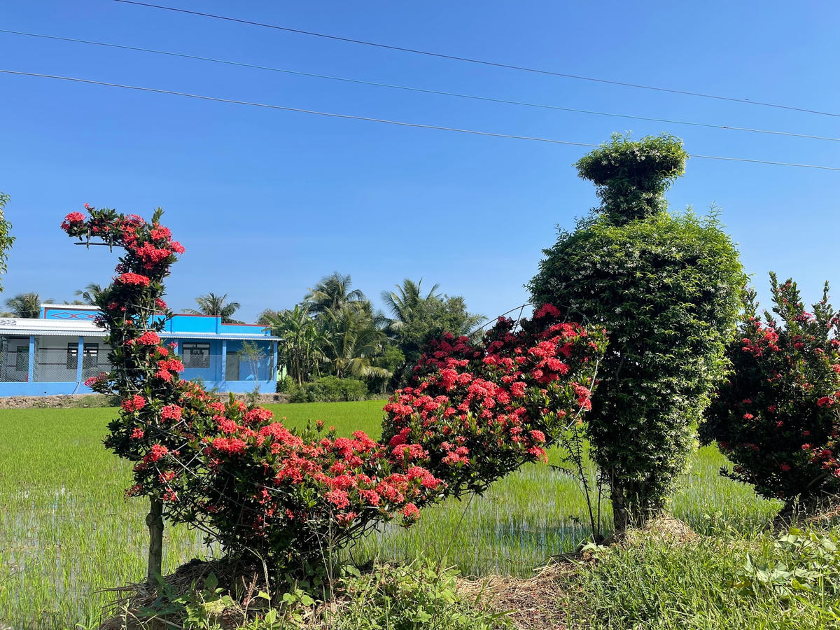 Một chú chim được tạo thành từ cây bông trang đang khoe sắc.