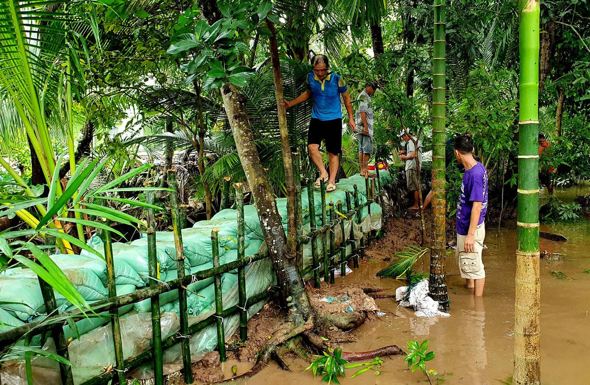 Đoạn đê bao cao khoảng 1m được người dân ngân chặn nước từ sông Hậu tràn vào nhà dân(Ảnh Minh Trung). 