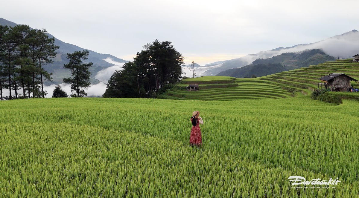 Du khách hòa mình vào không gian thiên nhiên tươi đẹp của Mù Cang Chải, nơi họ cùng khám phá những thửa ruộng bậc thang xanh mướt và mây núi trùng điệp. Ảnh: Nguyễn Quý.