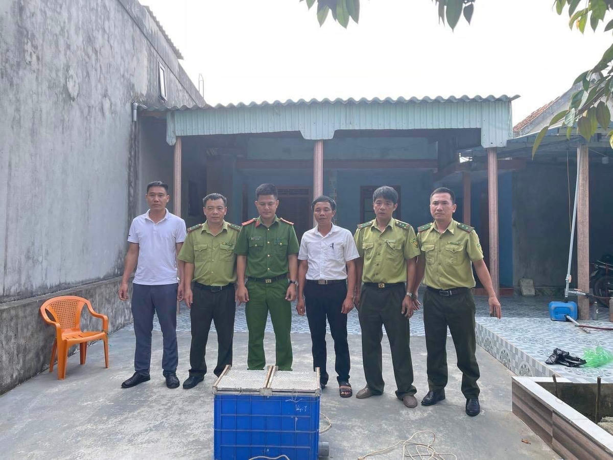 Hiện cá thể trăn đất đã được bàn giao cho Vườn Quốc gia Vũ Quang.