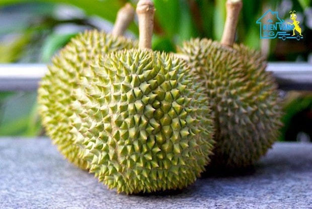 Những loại quả nên và không nên bày trên mâm ngũ quả ngày Tết
