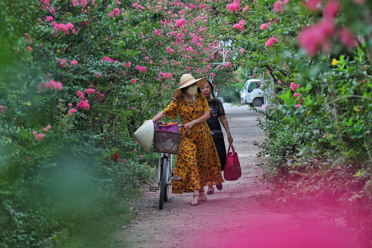 Không chỉ các bạn trẻ mà những người lớn tuổi có niềm đam mê với hoa cũng ghé thăm chụp ảnh.