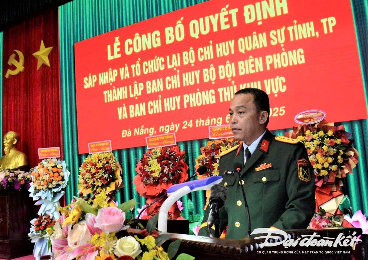 ANH 5
