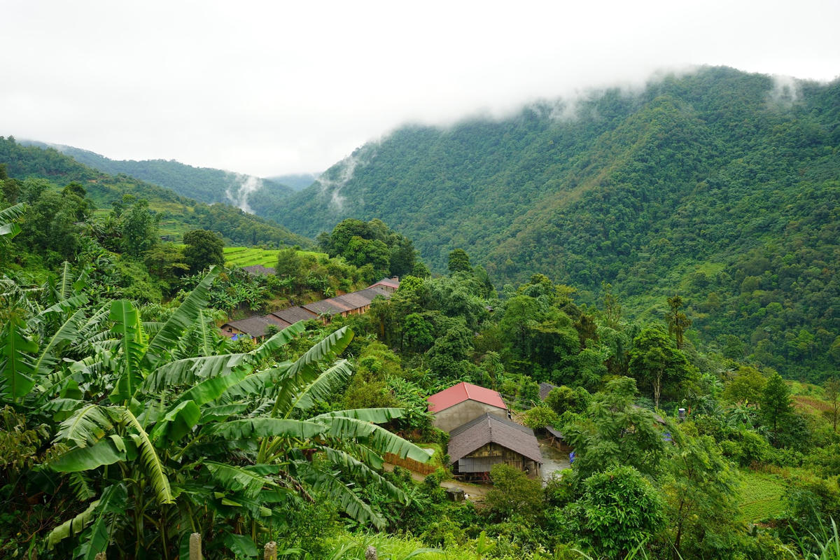 ban-nguoi-dao.jpg