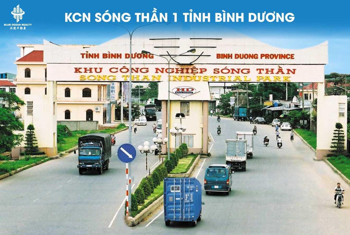 anh-bai-duoi-trai(2).jpg