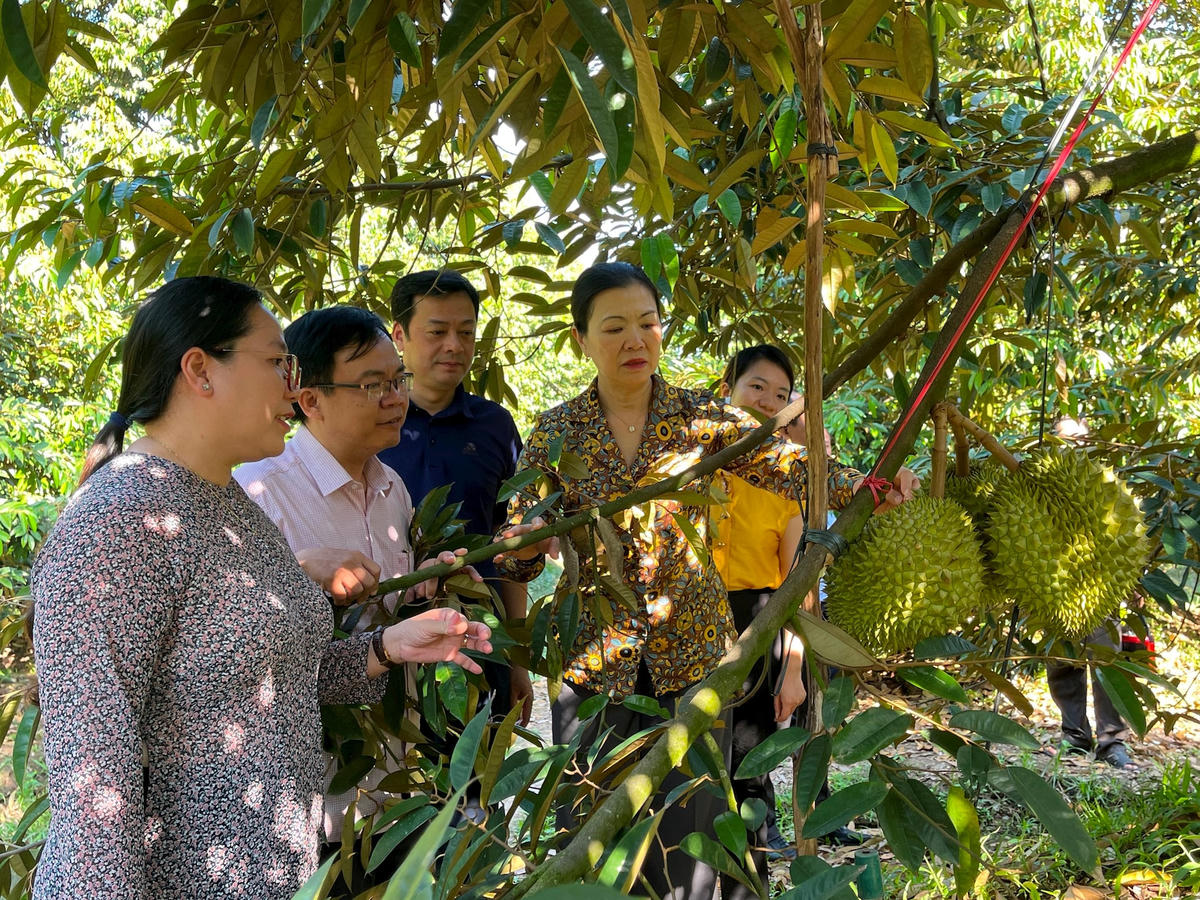 bai-chinh-1-.jpg