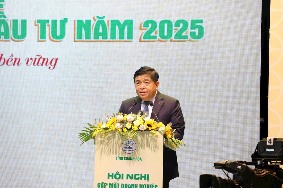 Phó Thủ tướng Nguyễn Chí Dũng phát biểu chỉ đạo tại Hội nghị. (ảnh Thùy Trang)