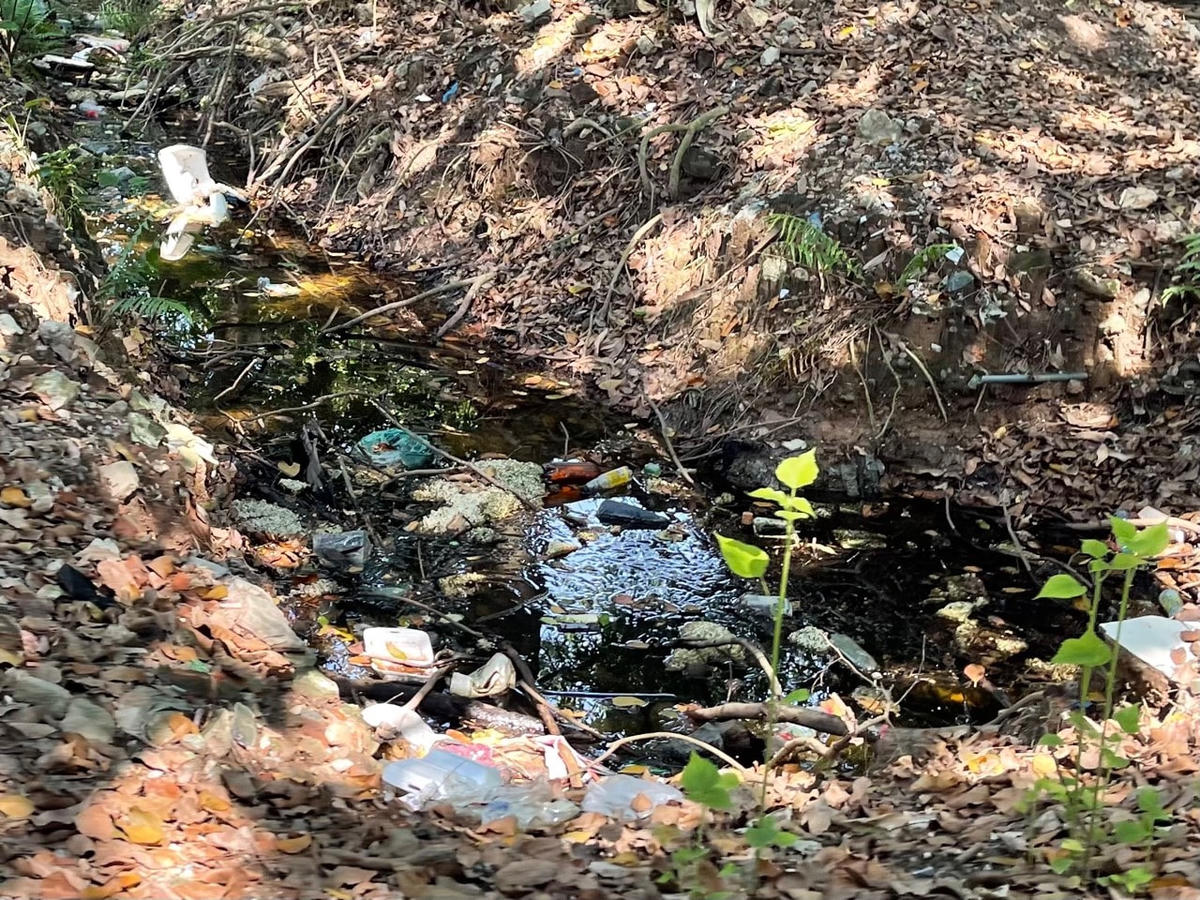 Rác thải vứt bừa bãi...