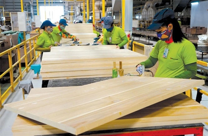 Ngành gỗ nỗ lực tìm hướng đi phù hợp với nhu cầu tiêu dùng của thế gới.