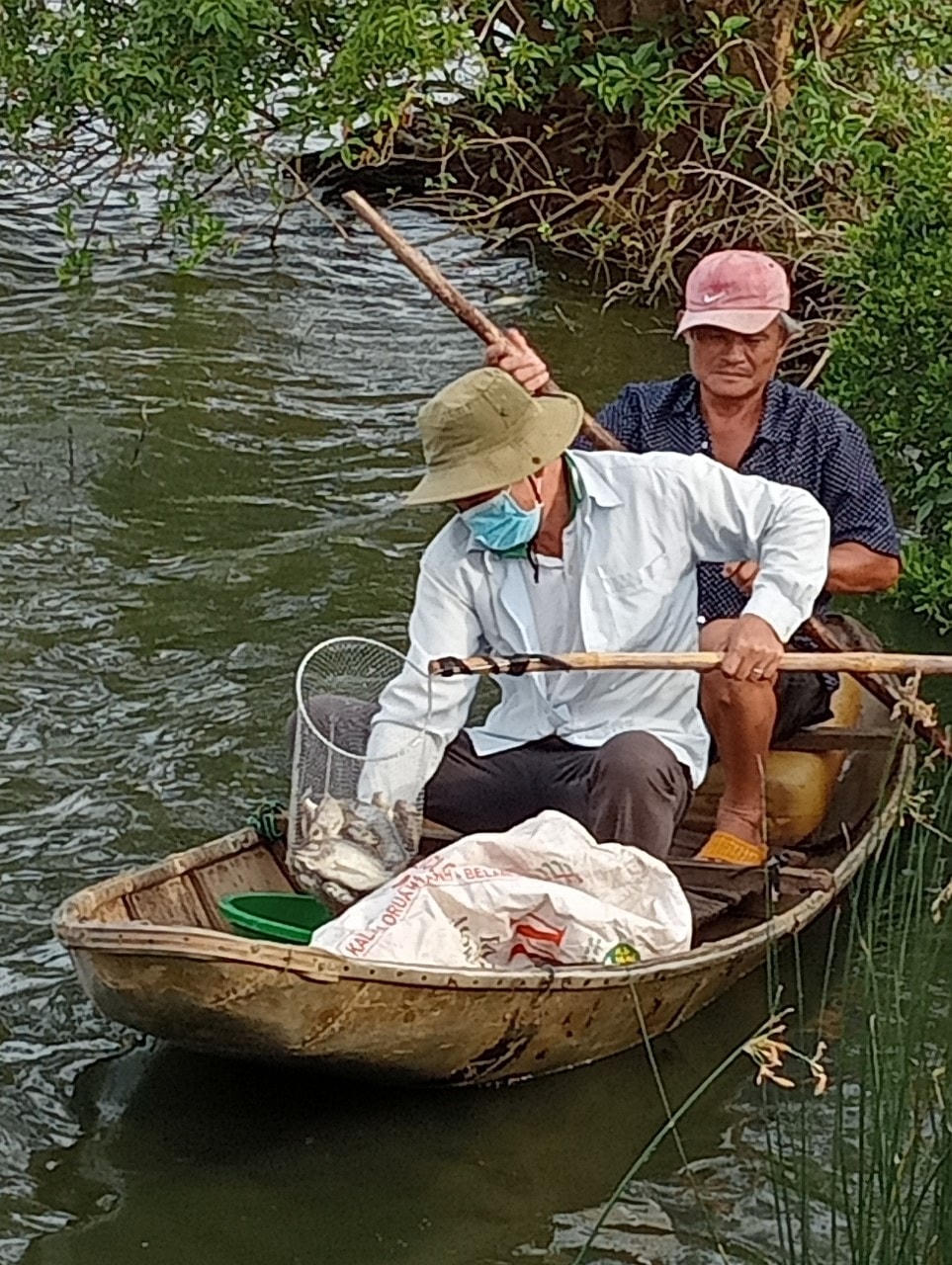 Người dân đi vớt xác cá chết trên sông Châu Me.