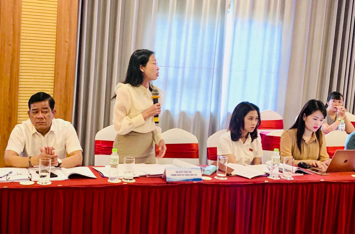 Đại biểu  thảo luận tại phiên họp.