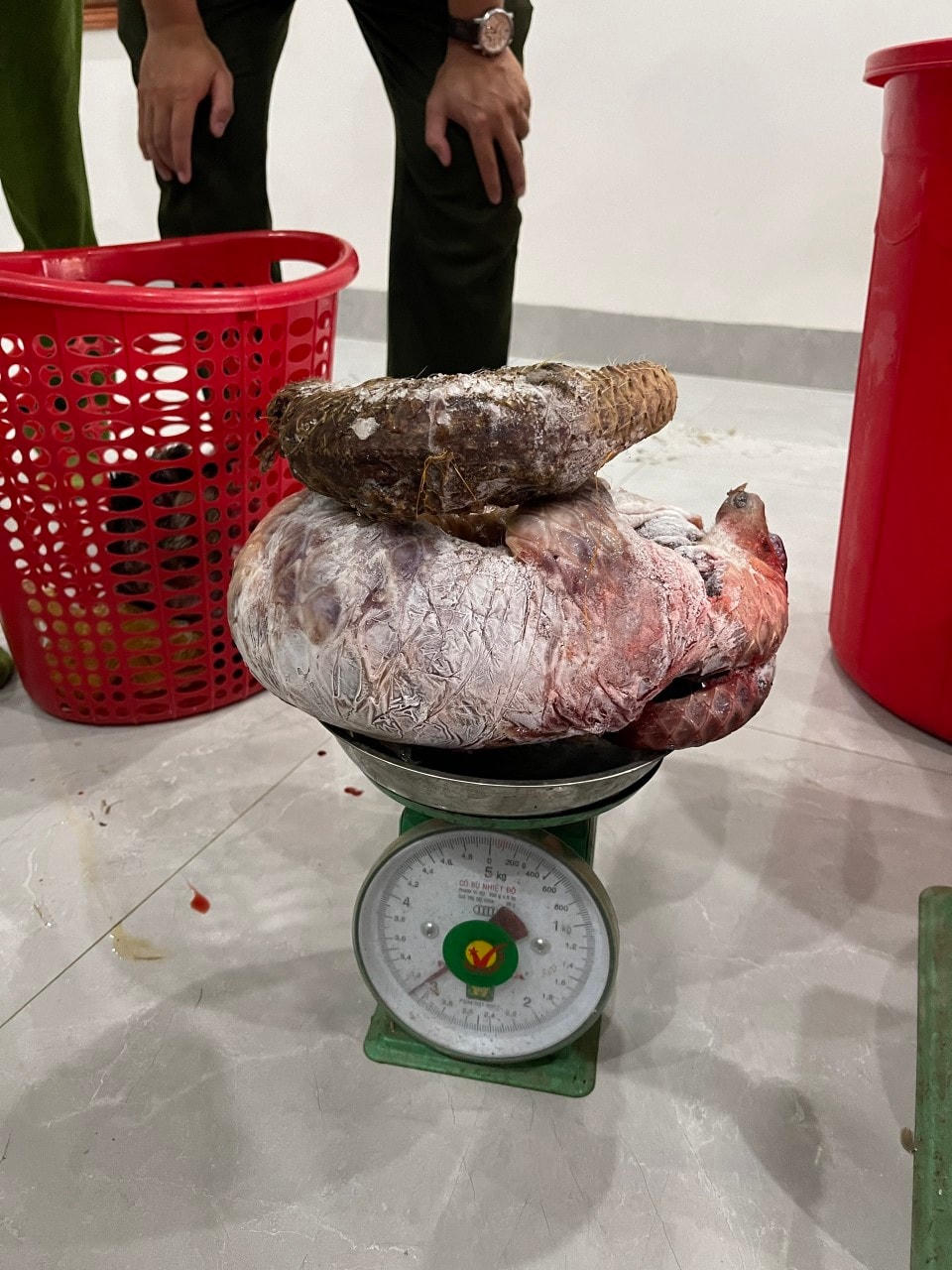 Bất ngờ bên trong ngôi nhà vừa bị lực lượng Công an phát hiện 