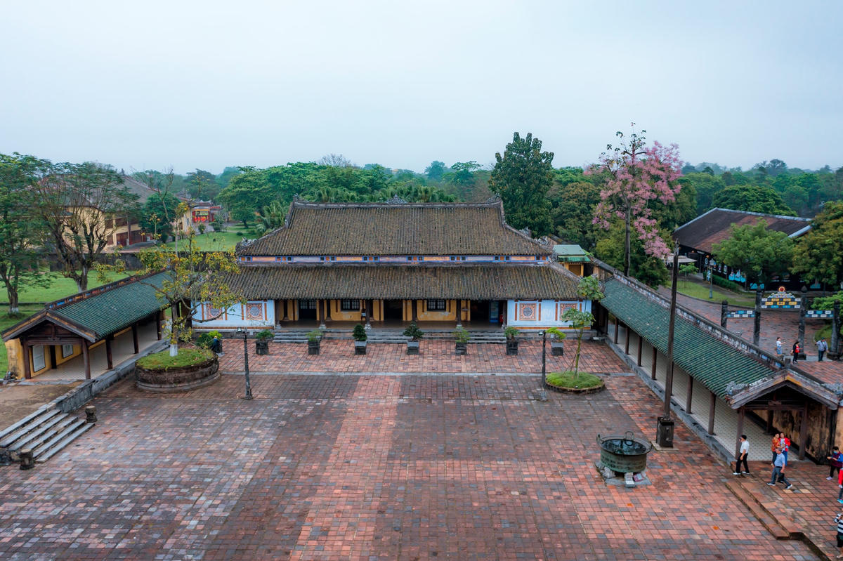 Cứ vào mỗi độ cuối tháng 3 đầu tháng 4 hằng năm, cũng là lúc những cây hoa Ngô đồng được trồng trong Hoàng cung Huế đua nhau khoe sắc.