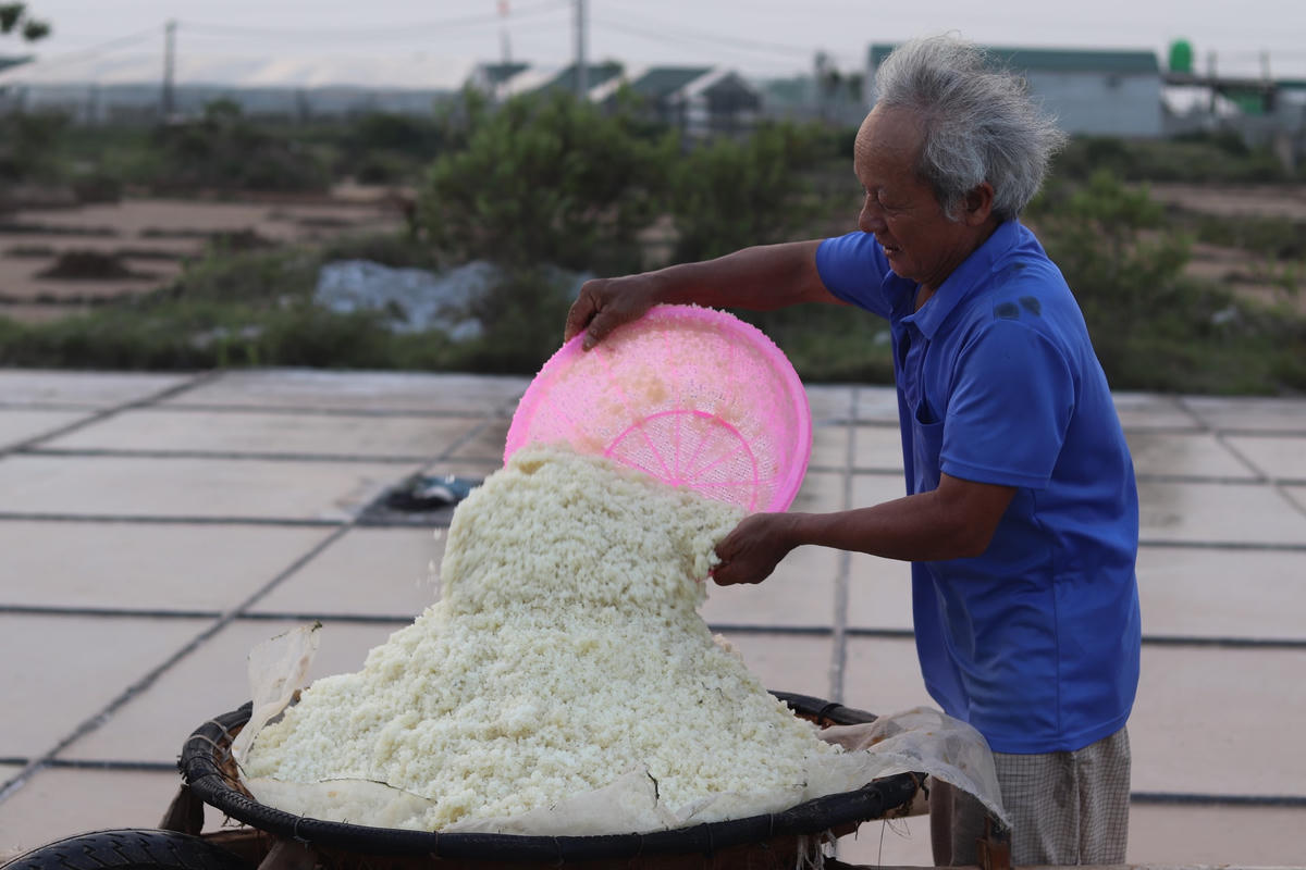 Giữa những ngày hè nắng gắt, nhìn những con người ở cái tuổi xế chiều cần mẫn với công việc dù tuổi già, sức yếu làm ai cũng thấy ngậm ngùi.