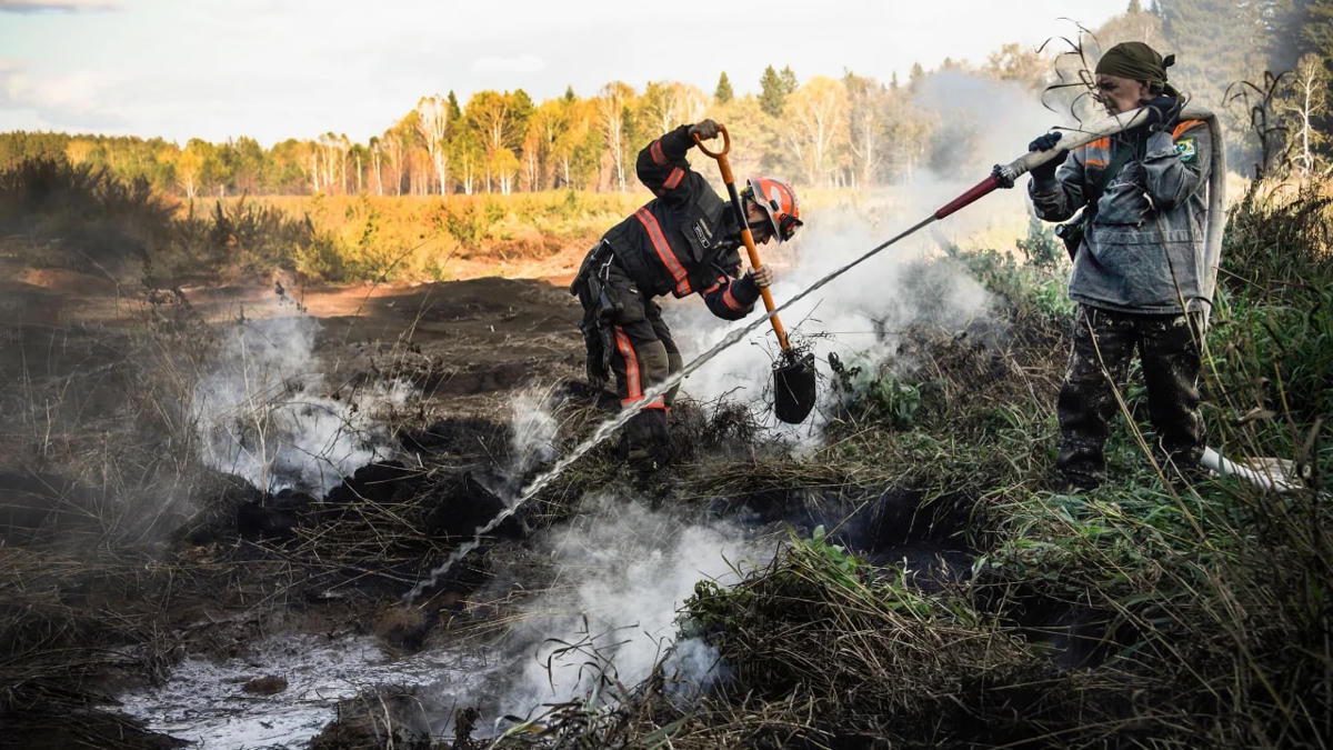Một đám cháy than bùn trong khu rừng Suzunsky ở Siberia, năm 2020.