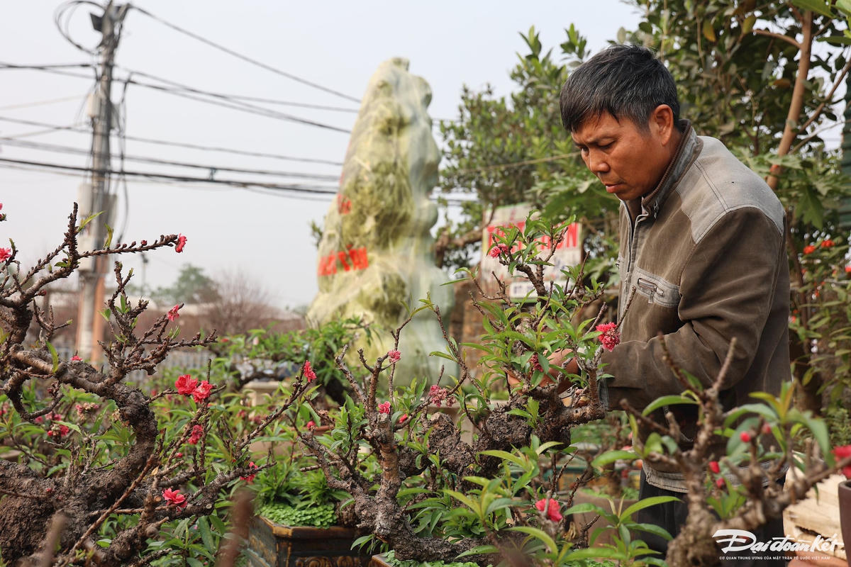 dao_that_thon-le-khanh6.jpg
