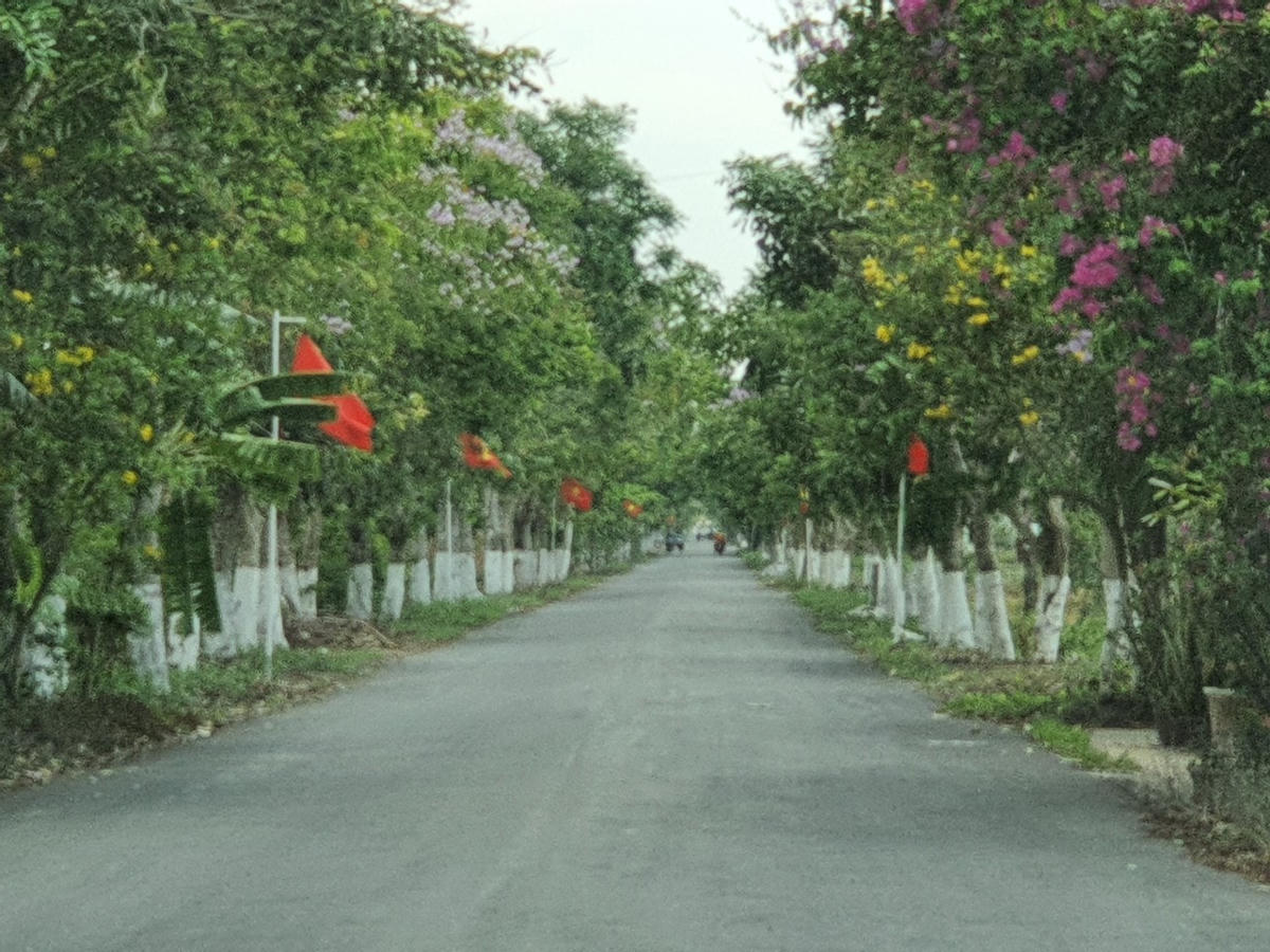 Đường cờ Tổ quốc tạo vẻ mỹ quan tuyến đường vào Di tích lịch sử quốc gia Đền thờ Chủ tịch Hồ Chí Minh.