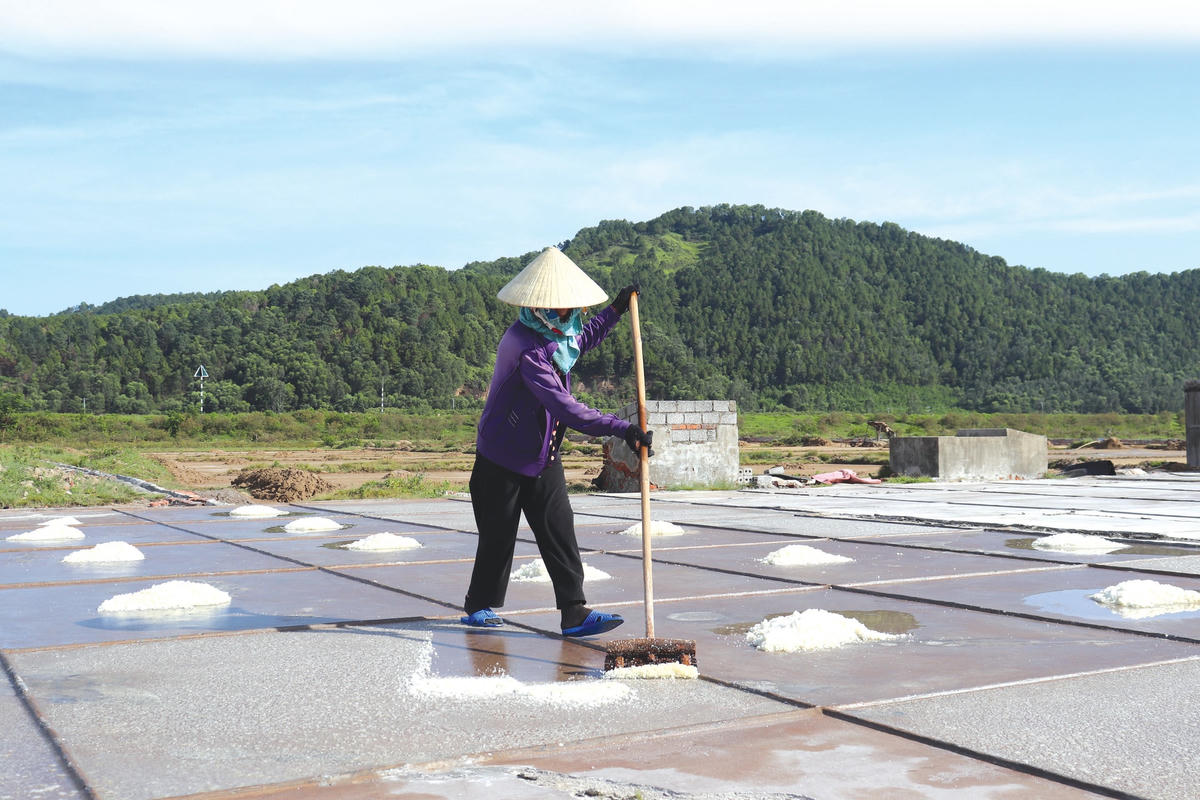 Khoảng 16h, nước sẽ kết tủa và đóng thành muối ở dạng tinh chất để diêm dân thu hoạch.  