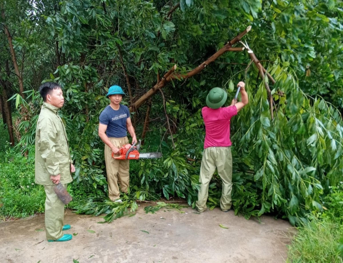 Các lực lượng chức năng tiến hành xử lý cây gãy, đổ do mưa bão.