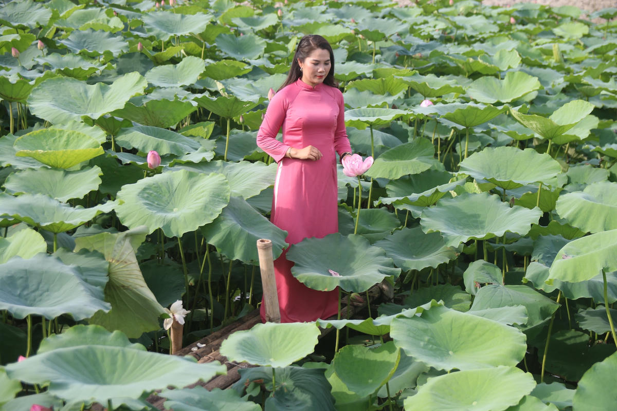 Chị Nguyễn Thanh Tâm (Người dân tại Bắc Giang) chia sẻ: "Từ 7h sáng chúng tôi bắt đầu khởi hành đến Hà Nội. Sau khi nghỉ trưa, gia đình chúng tôi tổ chức đến đầm sen chụp ảnh. Đây là lần đầu tiên chúng tôi có cơ hội tham quan nơi đây nên cảm thấy rất thích thú và chắc chắn sẽ quay trở lại trong dịp gần nhất".