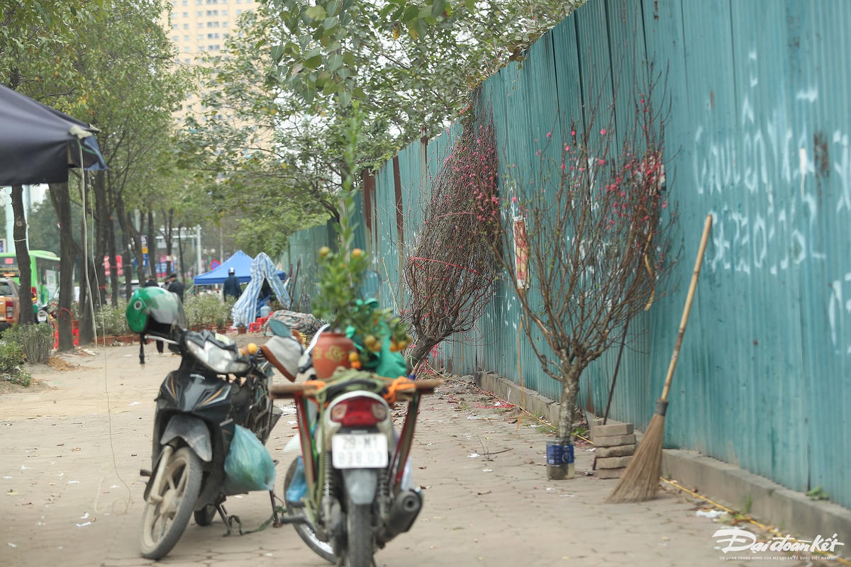 W_dao_quat_xa_lo-le-khanh11.jpg