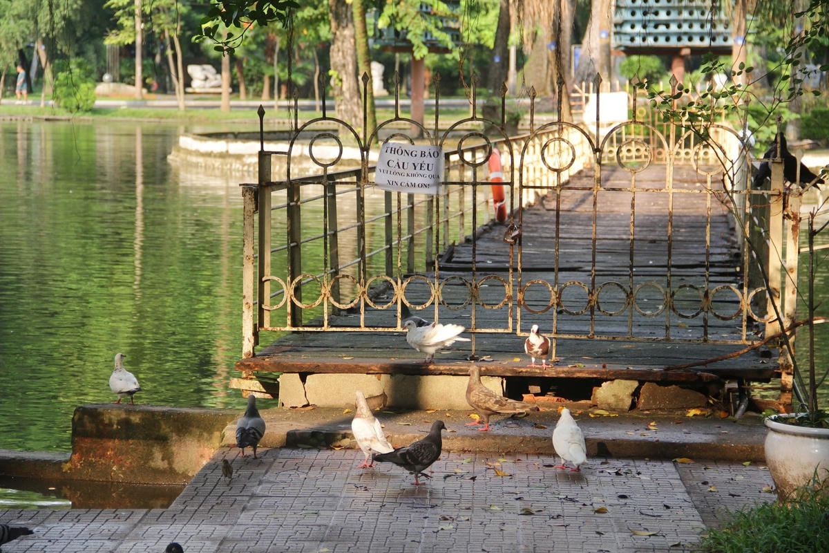 Công viên Bách Thảo có nhiều hạng mục xuống cấp.