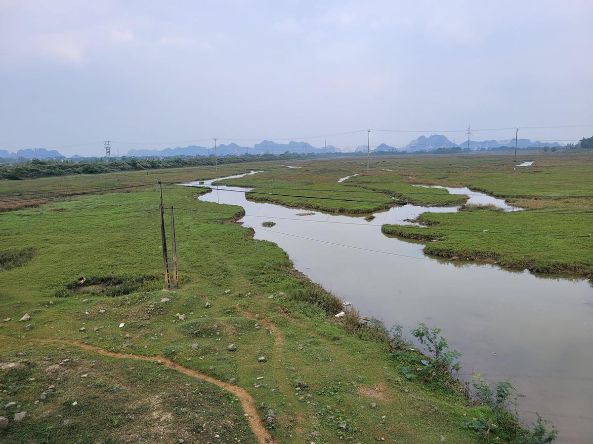 anh-bai-tren(2).jpg