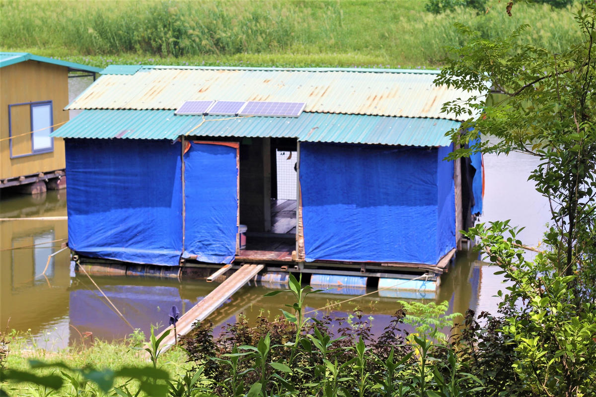 Tại bãi giữa sông Hồng, phường Ngọc Thụy, quận Long Biên, Hà Nội có 30 hộ gia đình sinh sống ở những ngôi nhà phao neo đậu sát mép một đoạn lạch sông Hồng. Xóm Phao nằm biệt lập với đô thị, sâu hút qua những bãi chuối dưới chân cầu Long Biên. 