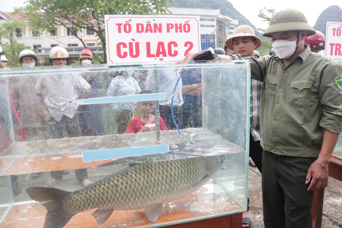 Lễ hội cá trắm sông Son được tổ chức hằng năm vào ngày 30/4 - 1/5.