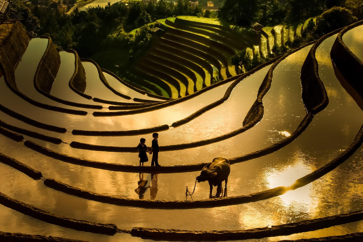 “Chiều vàng trên nương đồi quê em” (Giải Nhất - Hero ảnh đẹp tuần 109, trang ảnh Agora)  
