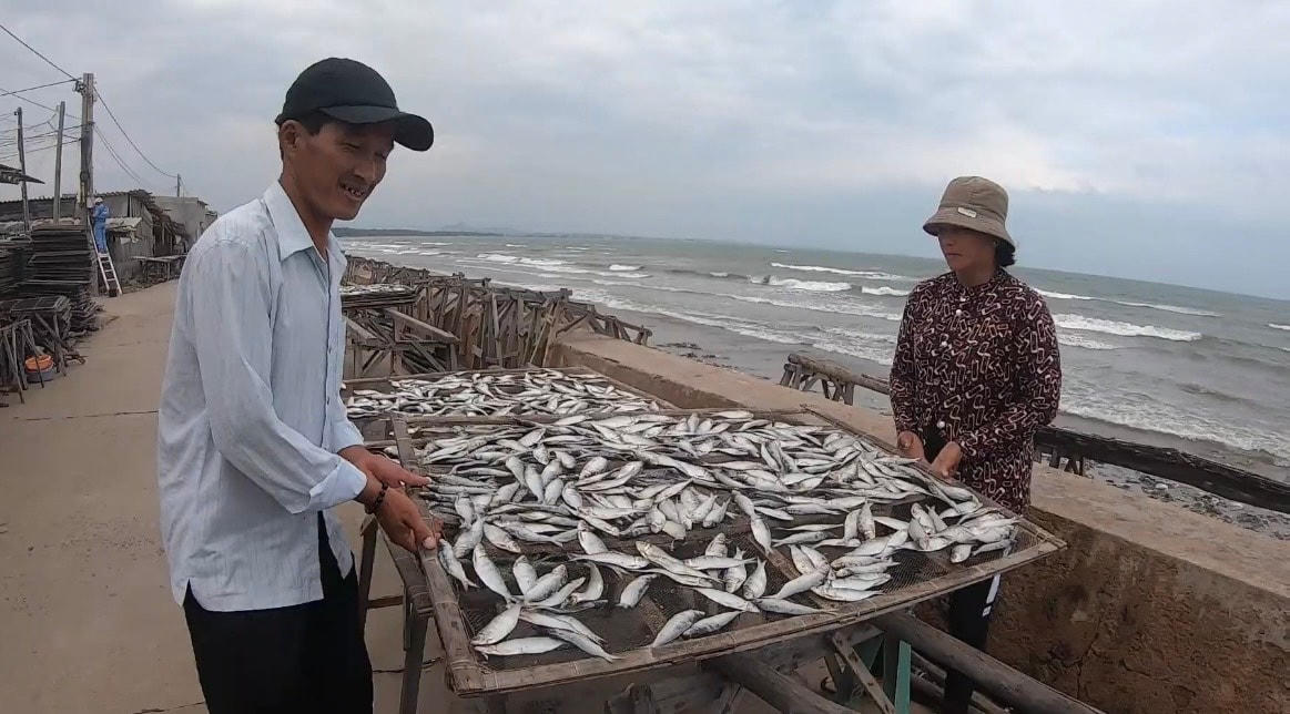 Cá chỉ vàng mang lại nguồn thu lớn cho ngư dân.  