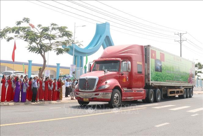Xuất khẩu lô khoai lang chính ngạch đầu tiên