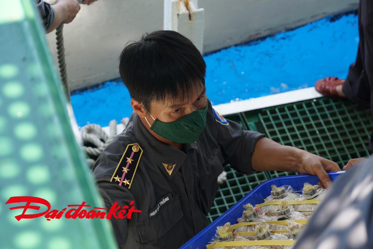 Đại úy chuyên nghiệp Phạm Đức Thắng, nhân viên tàu KN-290 cho biết, công việc hỗ trợ vận chuyển hàng lên đảo không có gì khó khăn, tất cả vì tình cảm của đất liền dành cho hải đảo. Ảnh: Mạnh Thìn.