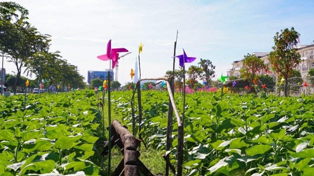 Các tiểu cảnh được trang trí đậm chất Nam Bộ với cầu khỉ, ụ rơm, nhà lá đơn sơ - Ảnh: Vinh Rose.