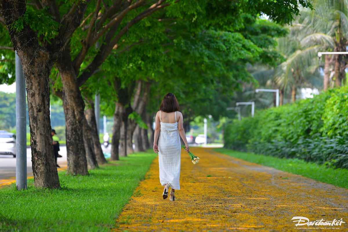 hoa_giang_huong-le-khanh13.jpg