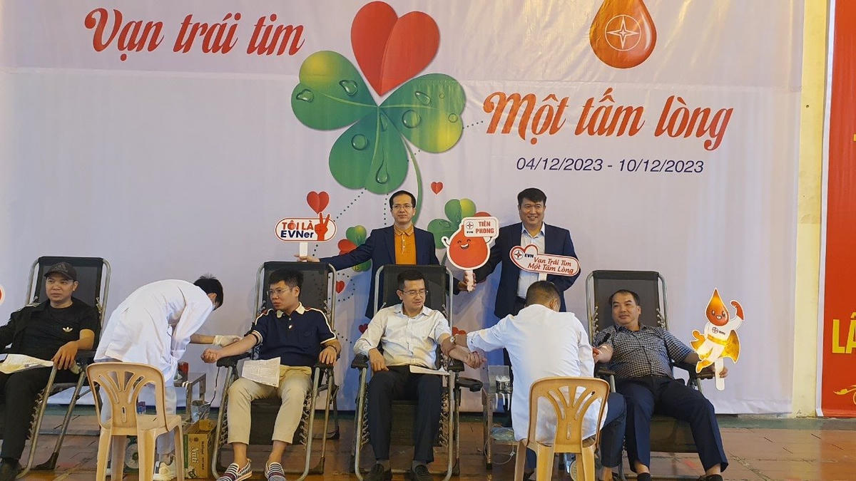 1-ndplai.jpg