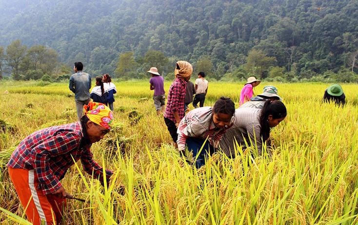 Trước tác động của lạm phát, việc thực hiện mục tiêu giảm nghèo gặp rất nhiều thách thức.