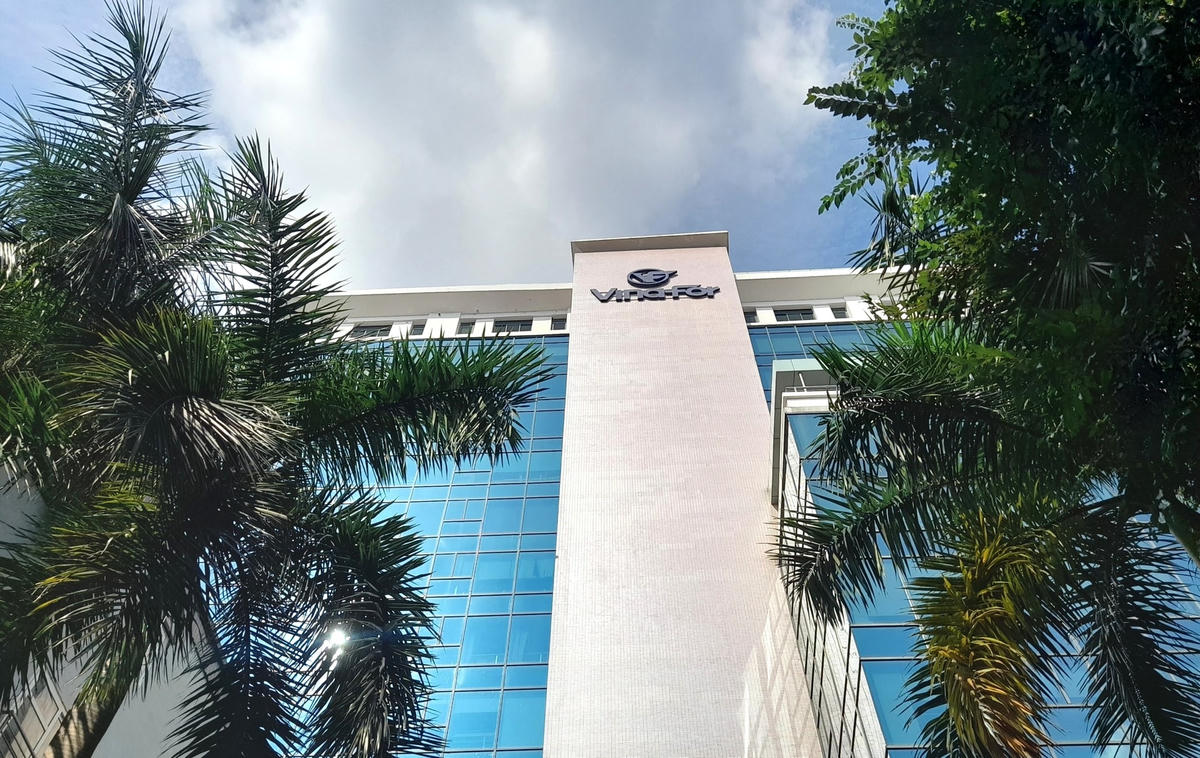 Công ty TNHH MTV Lâm nghiệp Đông Bắc là đơn vị thuộc Tổng công ty Lâm nghiệp Việt Nam (Vinafor).
