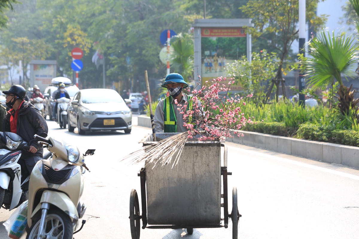 Công nhân vệ sinh môi trường dọn dẹp chậu hoa cũng như các cây đào ngổn ngang bên vệ đường.