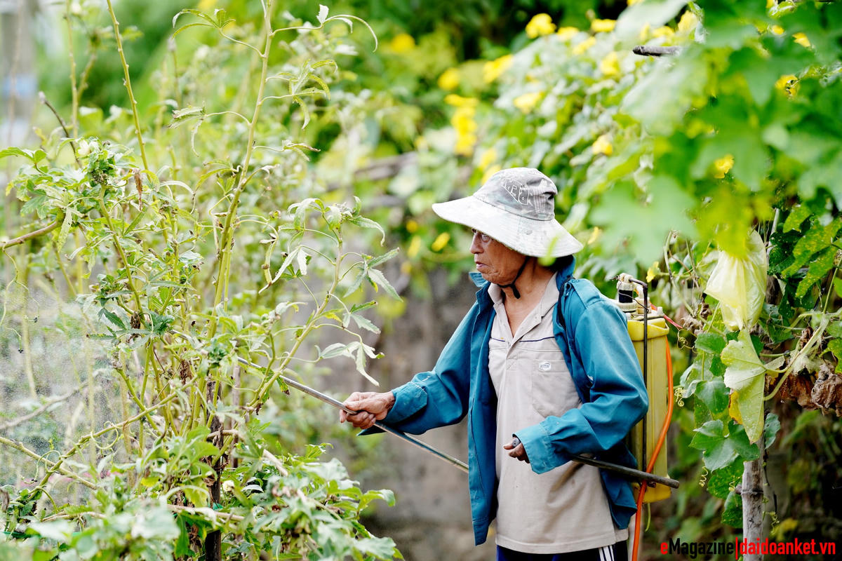 Giờ đây khi đã "quẳng gánh lo âu", ông Trần Mạnh Chư chăm lo phát triển sản xuất, nâng cao thu nhập.