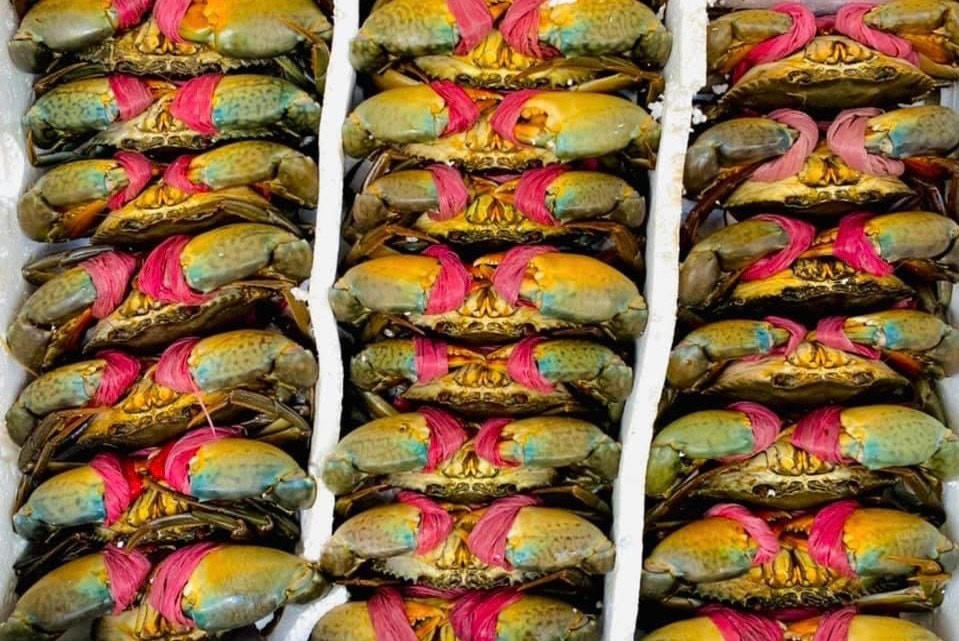 Giá cua biển đang tăng cao.