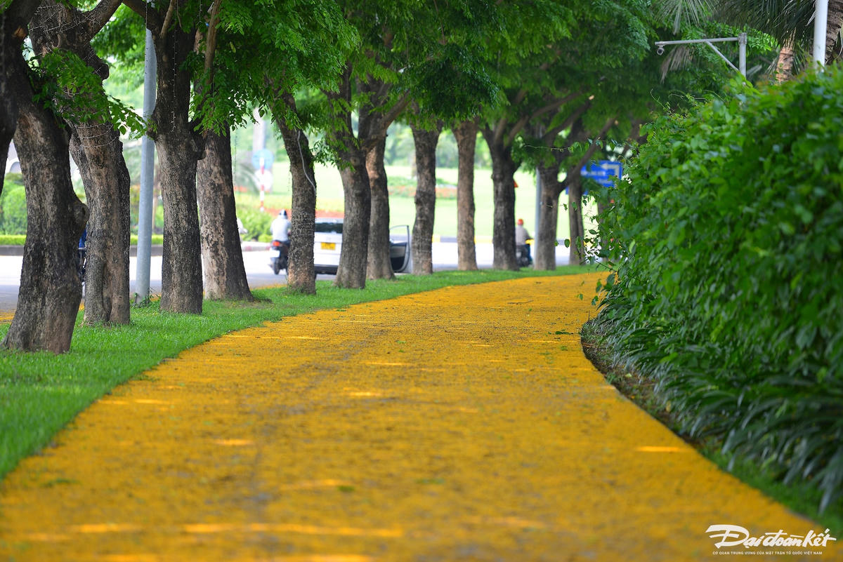 hoa_giang_huong-le-khanh1.jpg