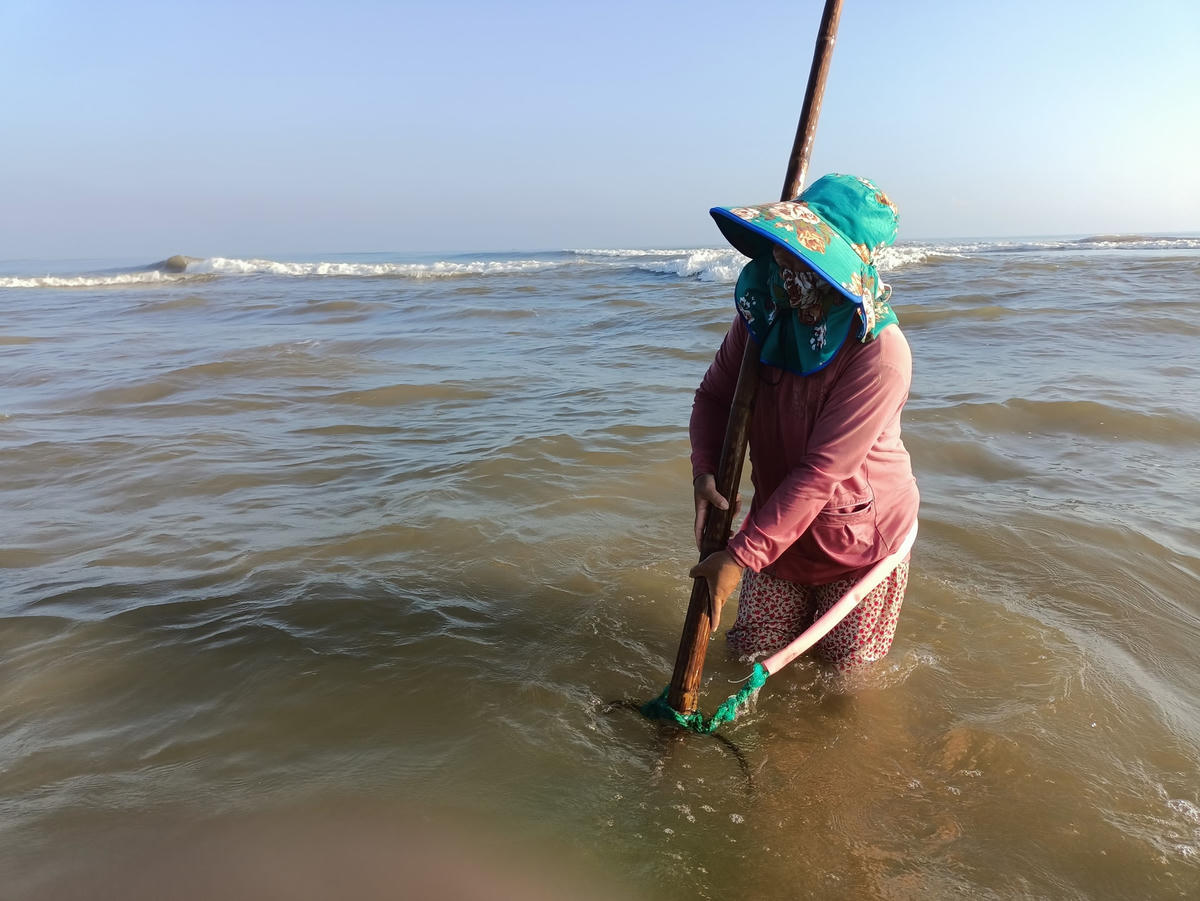 Một người dân đang cào ốc gạo.